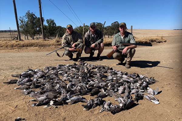 wild_wingshooting_mike_currie_adventures_highlights_2021_11