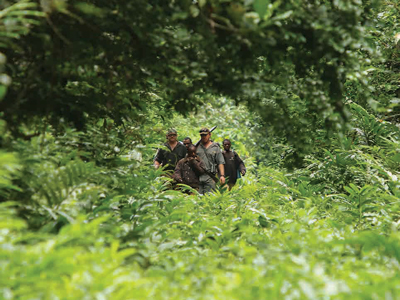 Mike-Currie-Congo-2