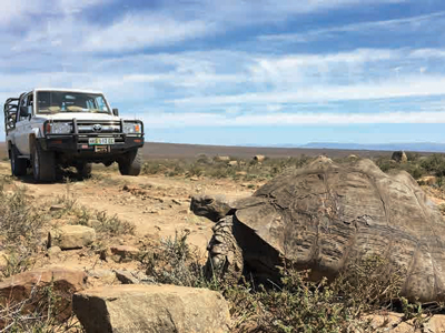 Mike-Currie-South-Africa-1