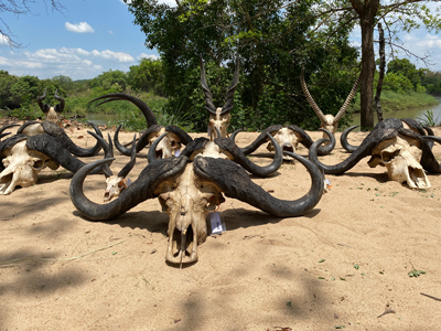 Mike-Currie-Tanzania-5