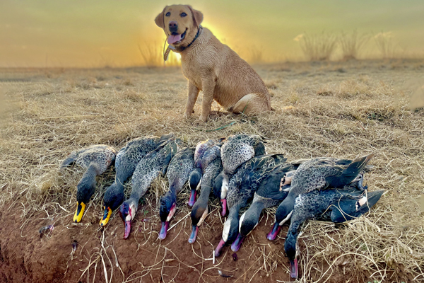 Mike-Currie-adventures_wingshooting-6-600x400