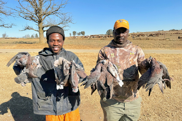 Wingshooting-ducks-3
