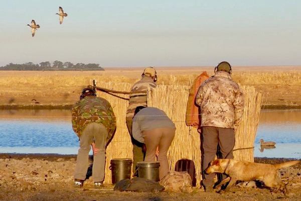 Wingshooting-hide-ducks-2