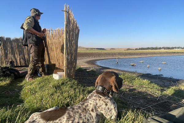 Wingshooting-hide-ducks-3