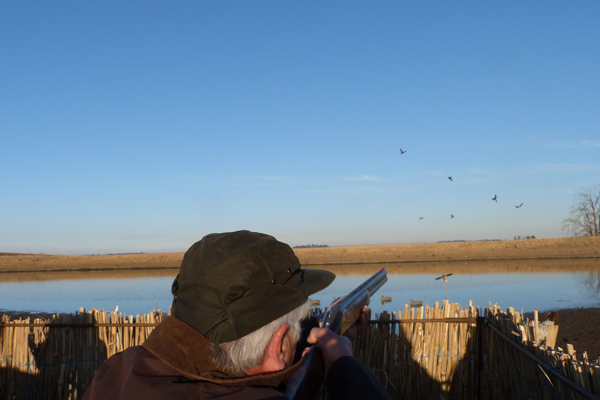 Wingshooting-hide-ducks